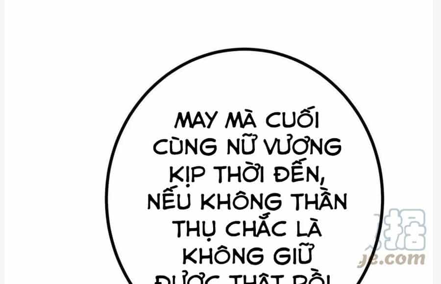 Cái Bóng Vạn Năng - Chương 125 - ảnh 95