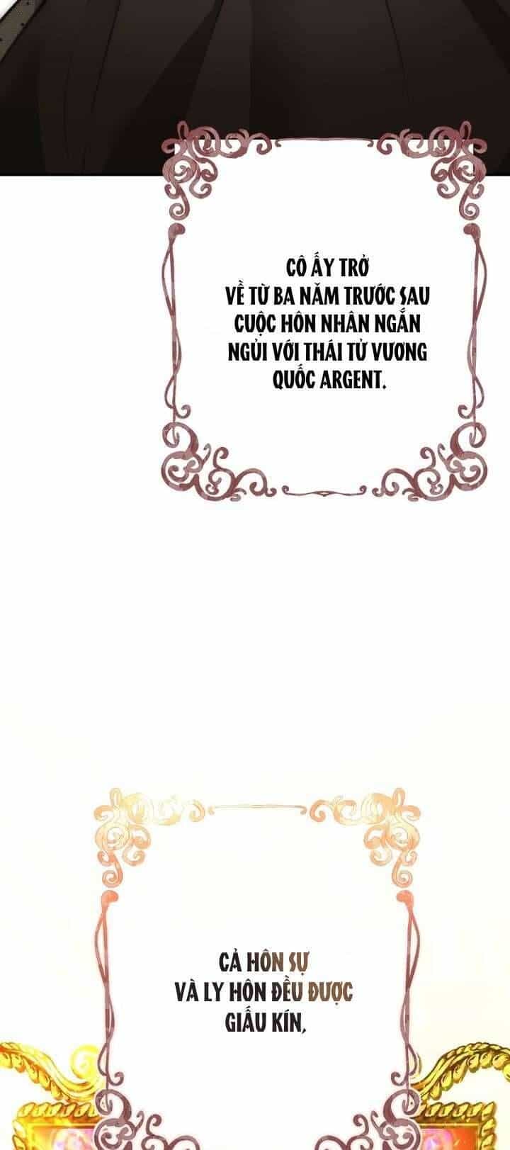Cái Kết Của Cuộc Ly Hôn Chưa Trọn Vẹn - Chương 11 - ảnh 30