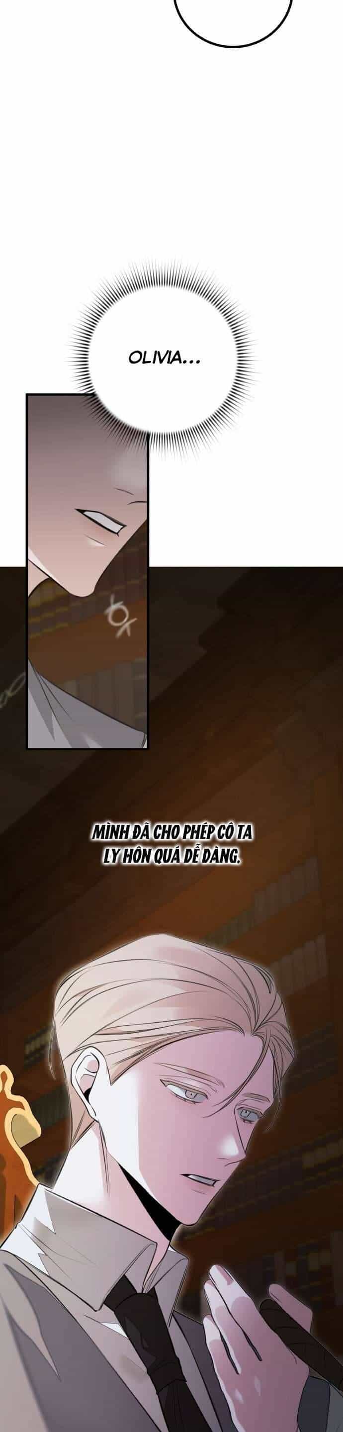 Cái Kết Của Cuộc Ly Hôn Chưa Trọn Vẹn - Chương 2 - ảnh 20