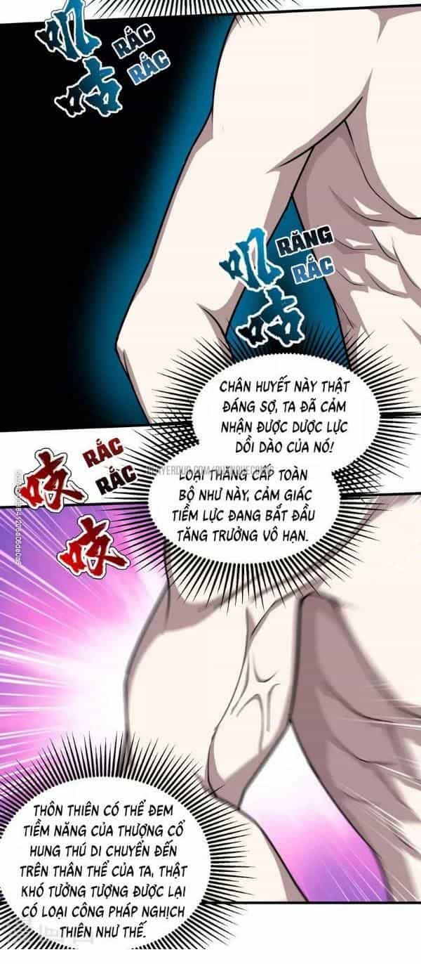 Cái Thế Đế Tôn - Chương 16 - ảnh 5