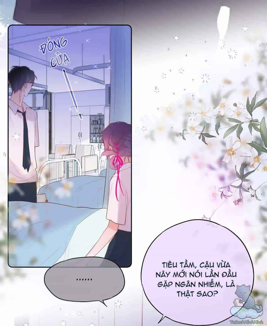 Cạm Bẫy Của Hồ Ly - Chương 7 - ảnh 13
