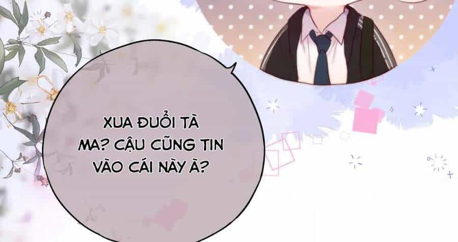 Cạm Bẫy Của Hồ Ly - Chương 11 - ảnh 24