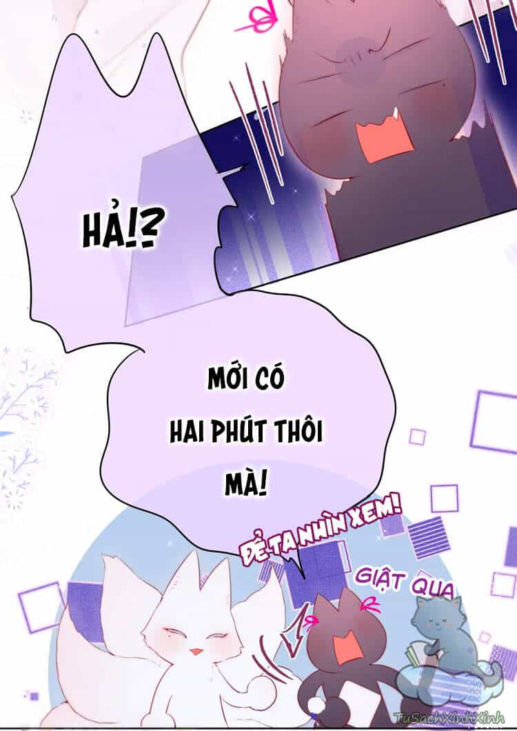 Cạm Bẫy Của Hồ Ly - Chương 12 - ảnh 27