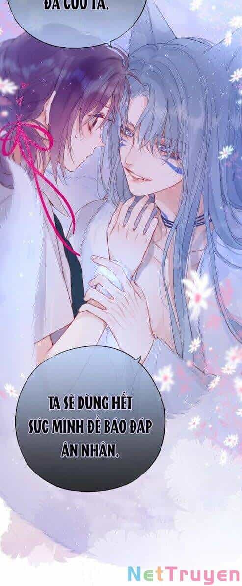 Cạm Bẫy Của Hồ Ly - Chương 2 - ảnh 11