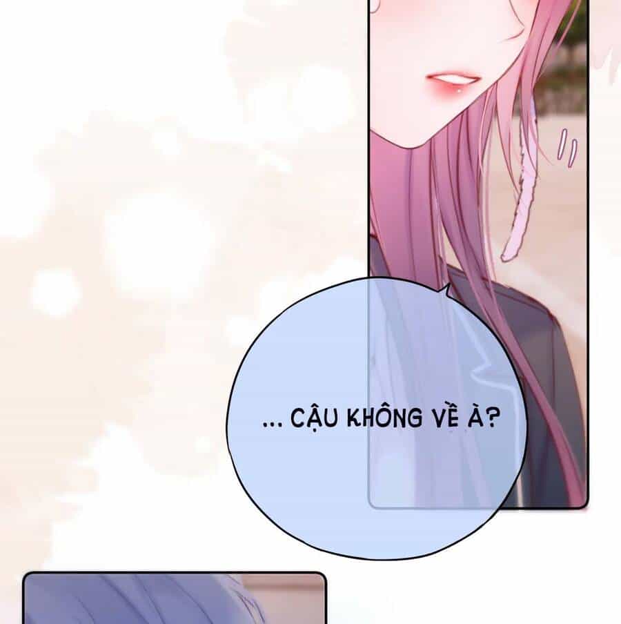 Cạm Bẫy Của Hồ Ly - Chương 47 - ảnh 27