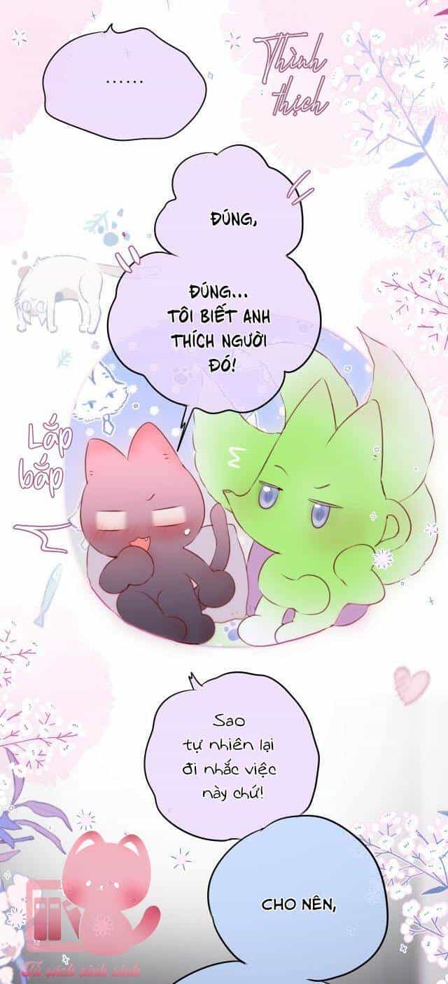 Cạm Bẫy Của Hồ Ly - Chương 58 - ảnh 21