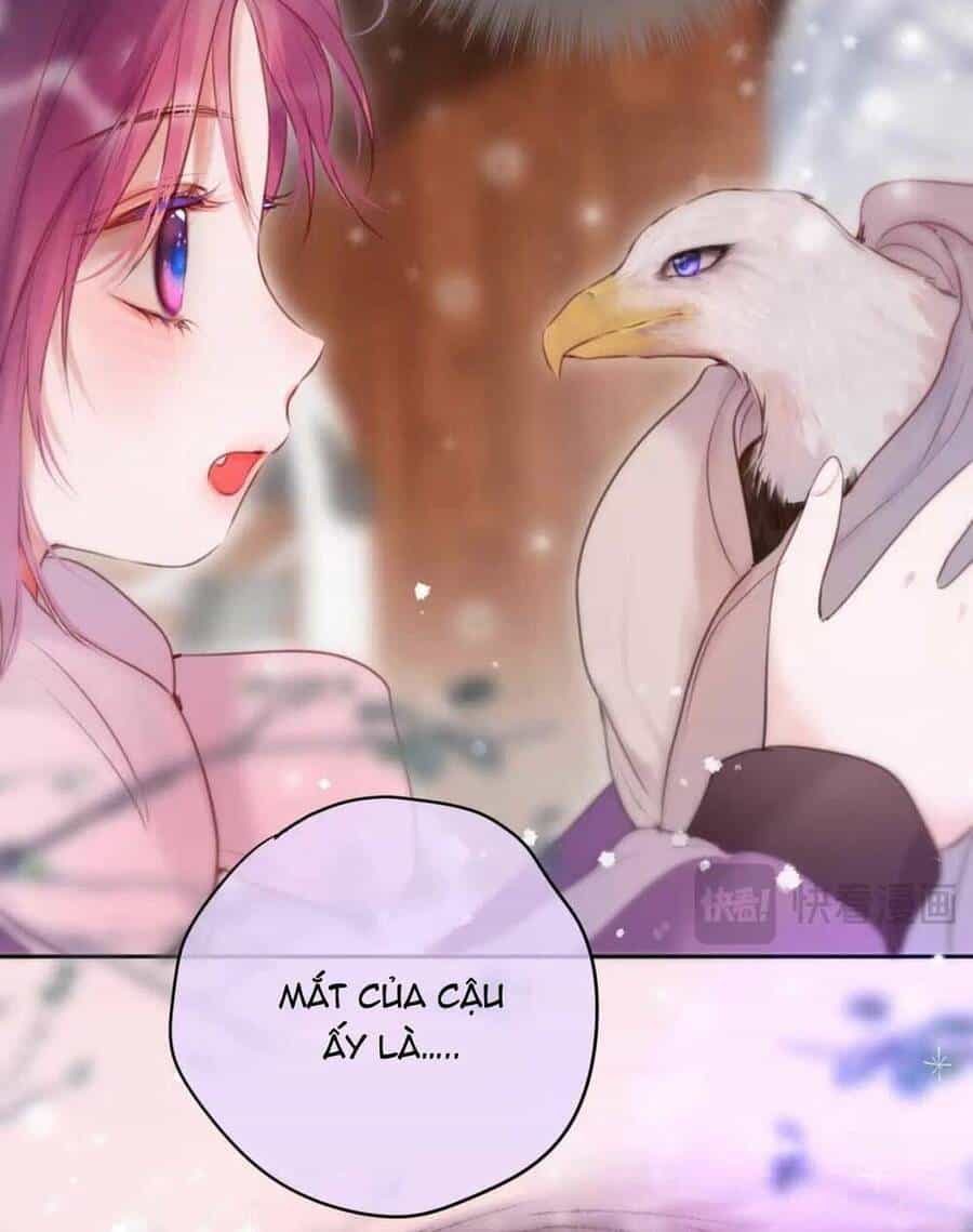 Cạm Bẫy Của Hồ Ly - Chương 62 - ảnh 30