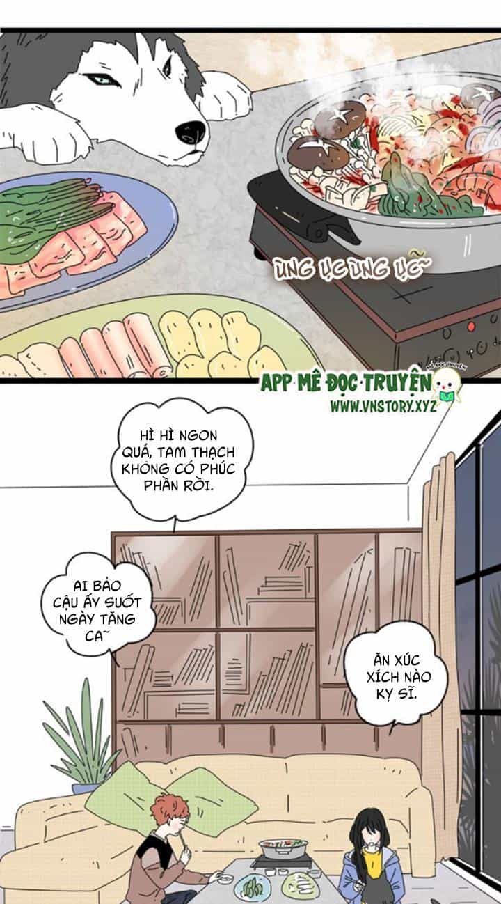 Cạm Bẫy Ngọt Ngào - Chương 5 - ảnh 16