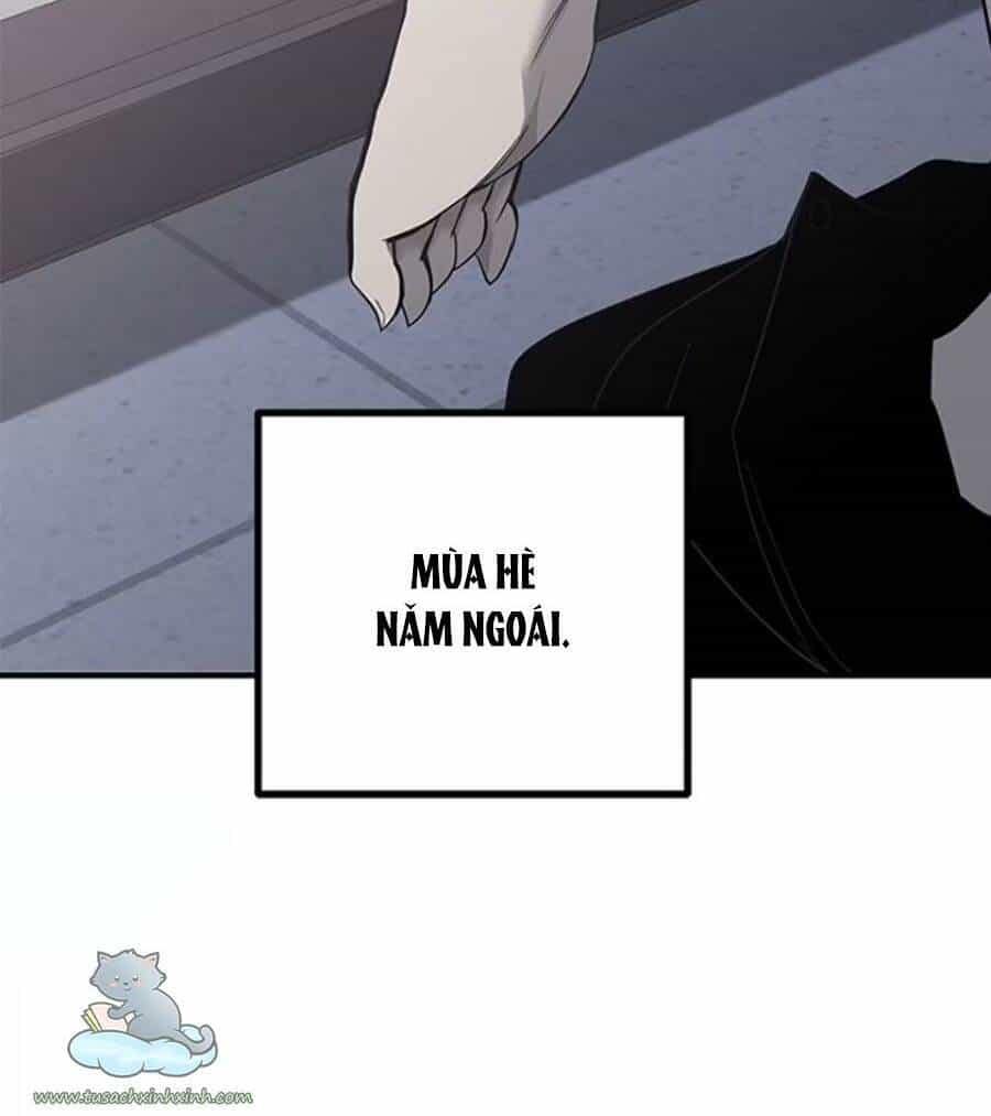 Cạm Bẫy - Chương 111 - ảnh 14
