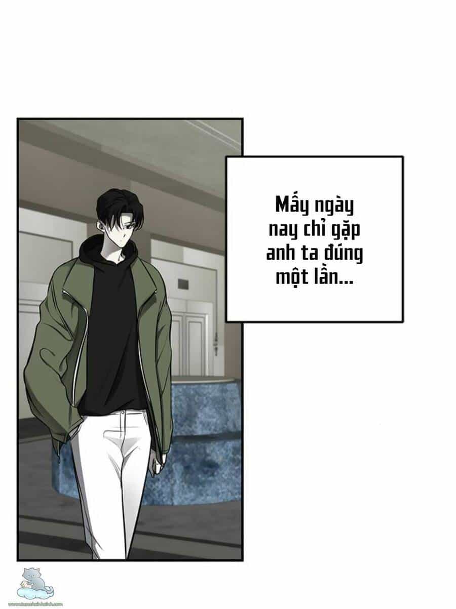 Cạm Bẫy - Chương 124 - ảnh 5