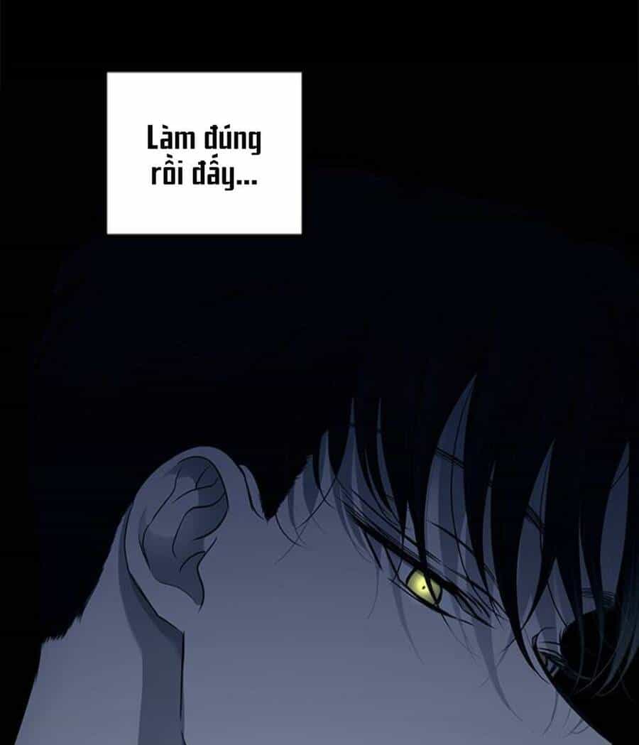 Cạm Bẫy - Chương 124 - ảnh 98