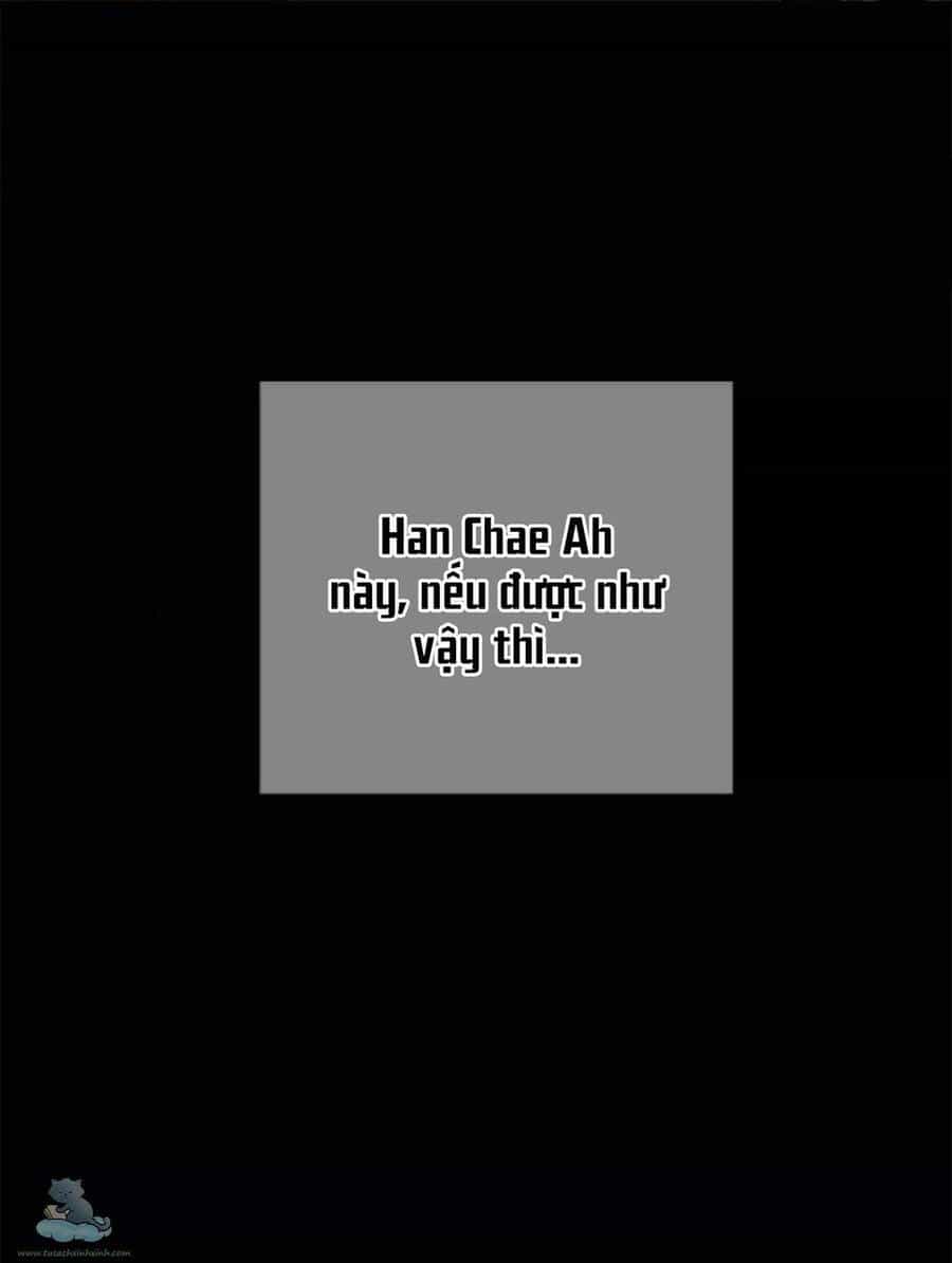 Cạm Bẫy - Chương 126 - ảnh 51