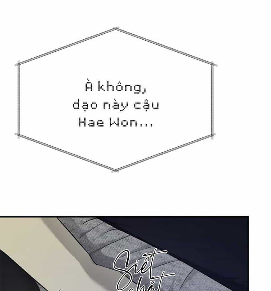 Cạm Bẫy - Chương 128 - ảnh 6