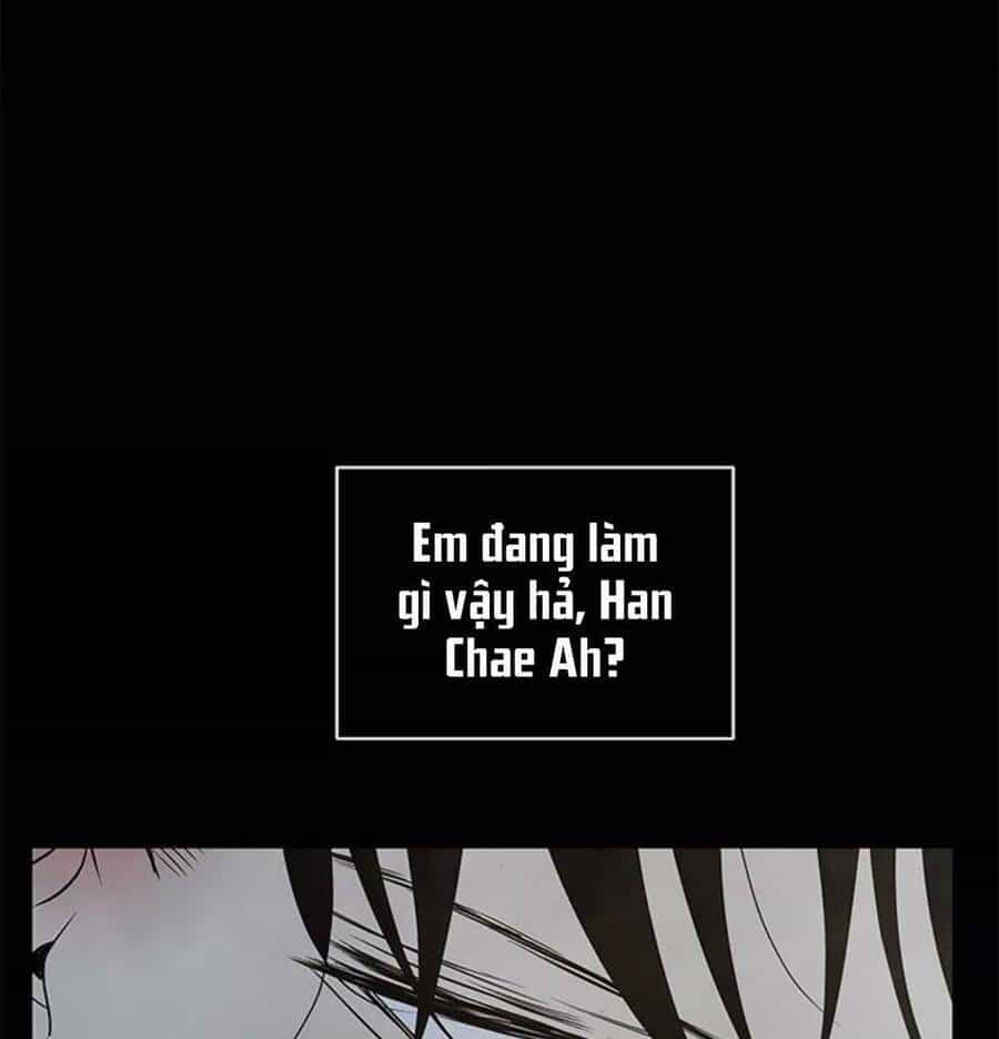 Cạm Bẫy - Chương 131 - ảnh 96