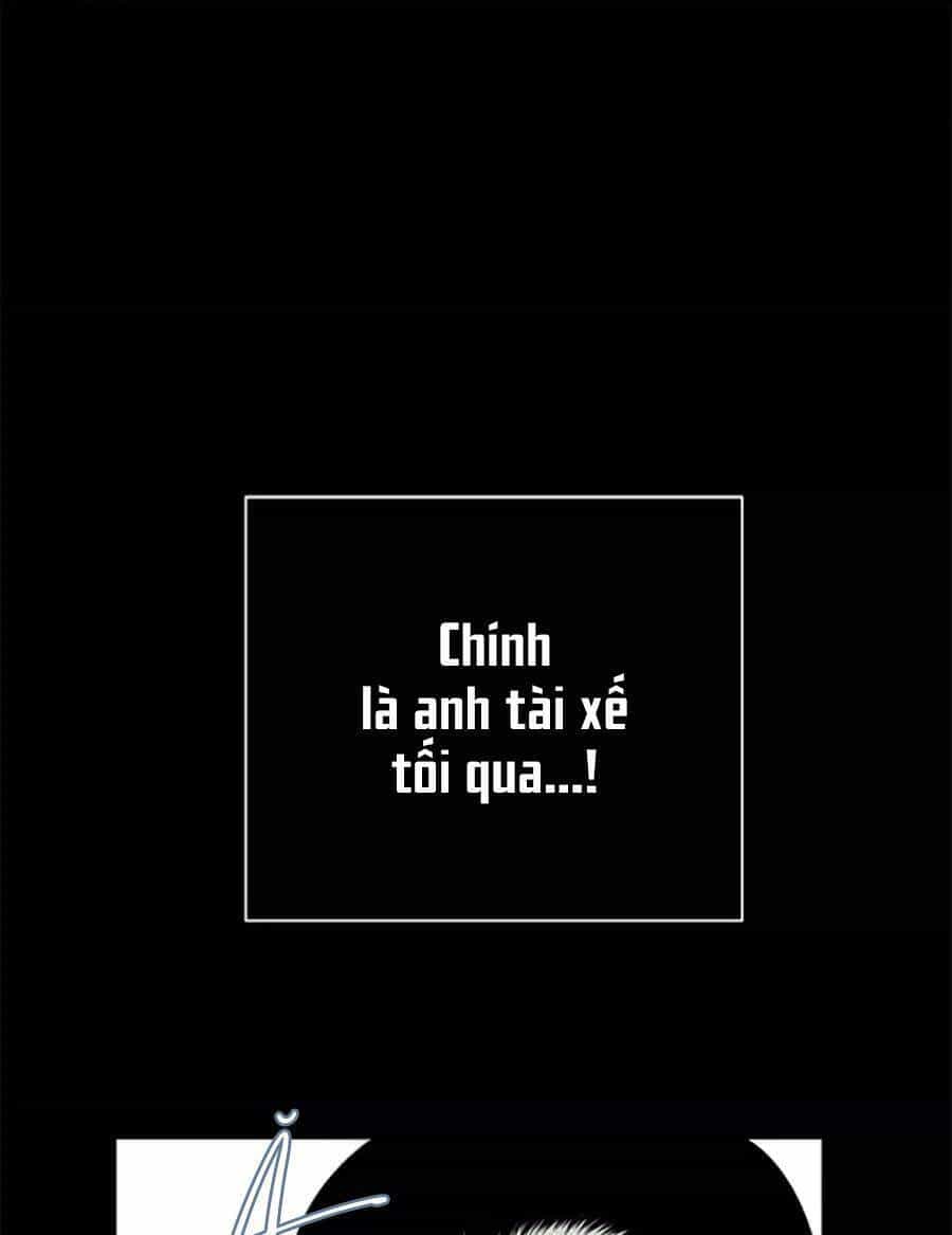 Cạm Bẫy - Chương 133 - ảnh 16