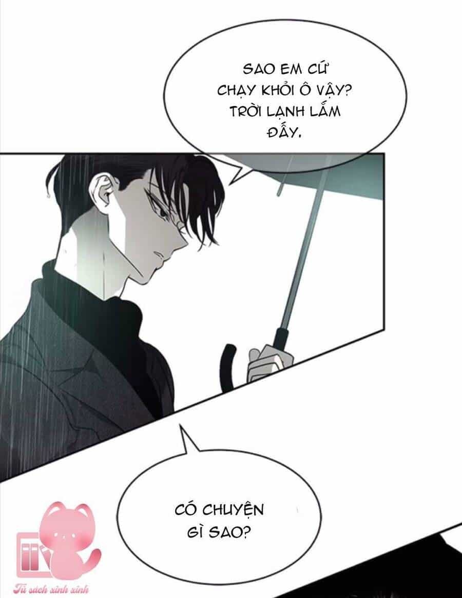 Cạm Bẫy - Chương 142 - ảnh 15