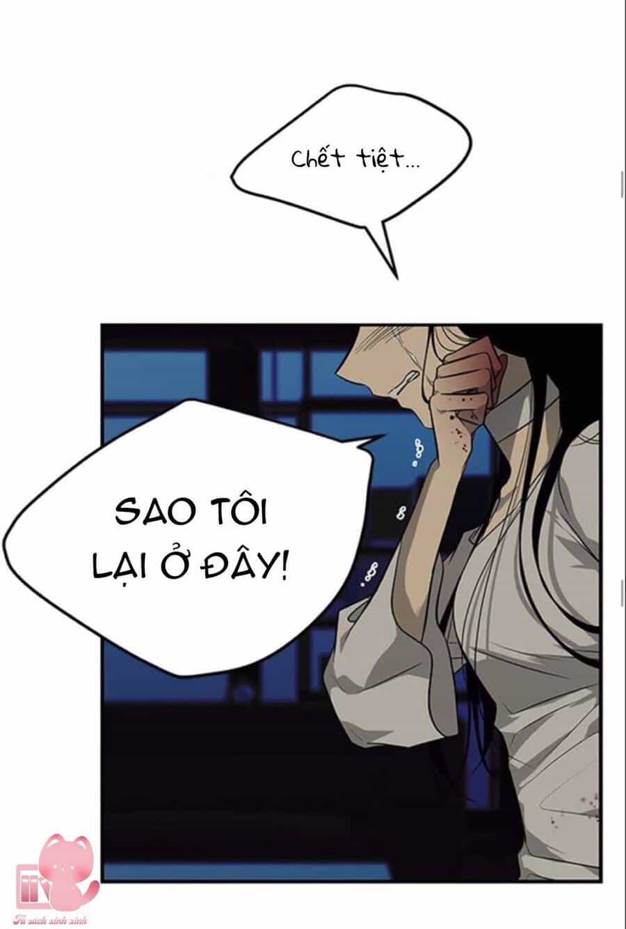 Cạm Bẫy - Chương 144 - ảnh 53