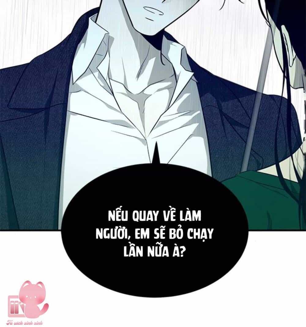 Cạm Bẫy - Chương 151 - ảnh 32