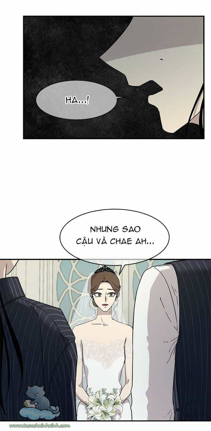 Cạm Bẫy - Chương 18 - ảnh 14