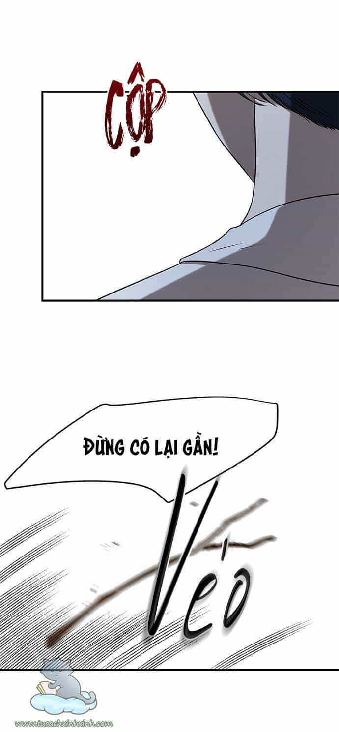 Cạm Bẫy - Chương 35 - ảnh 51
