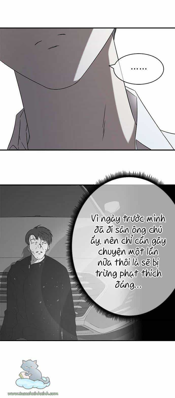 Cạm Bẫy - Chương 42 - ảnh 24