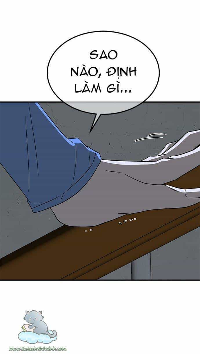 Cạm Bẫy - Chương 46 - ảnh 66