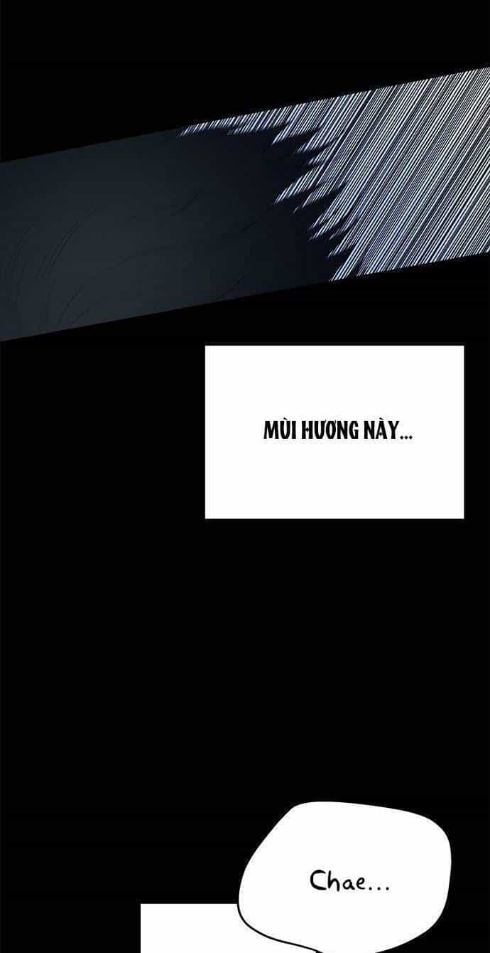 Cạm Bẫy - Chương 50 - ảnh 85