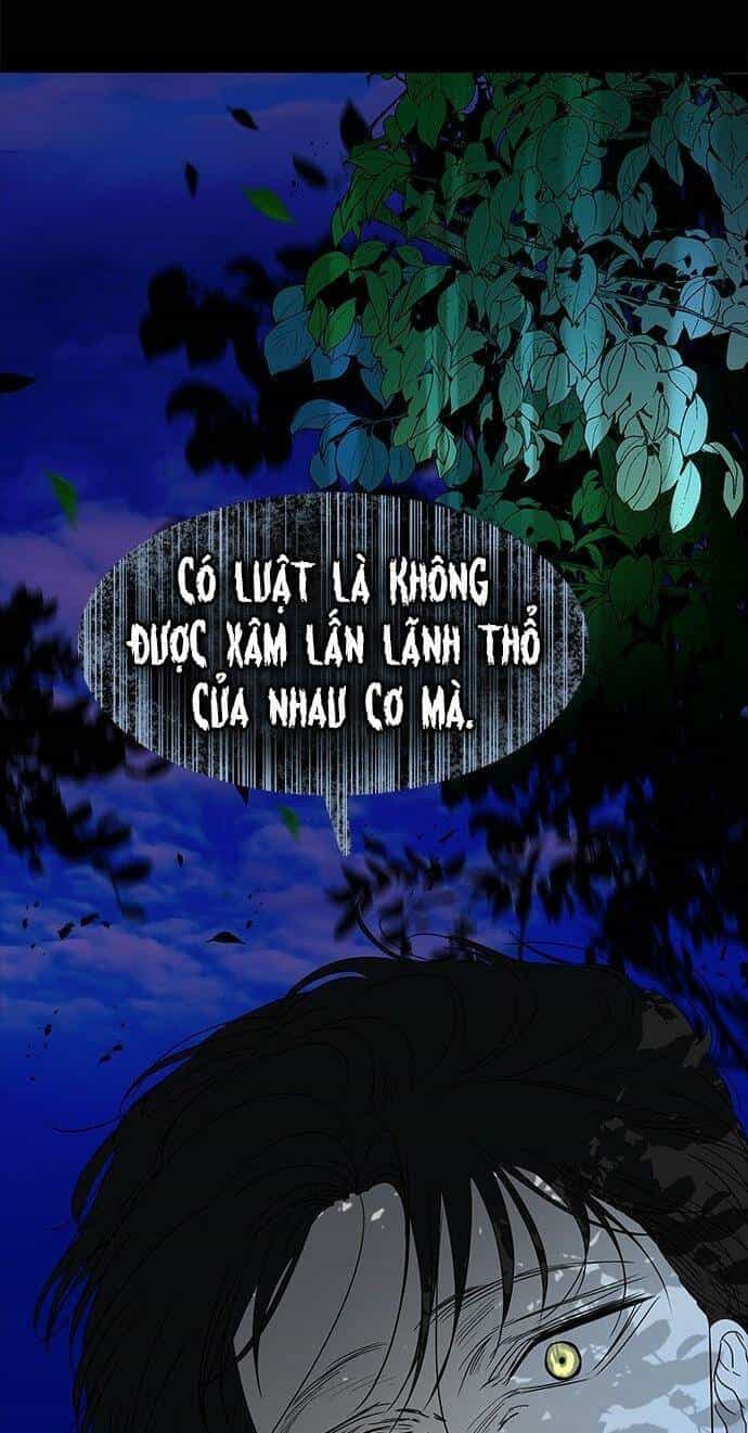Cạm Bẫy - Chương 65 - ảnh 8