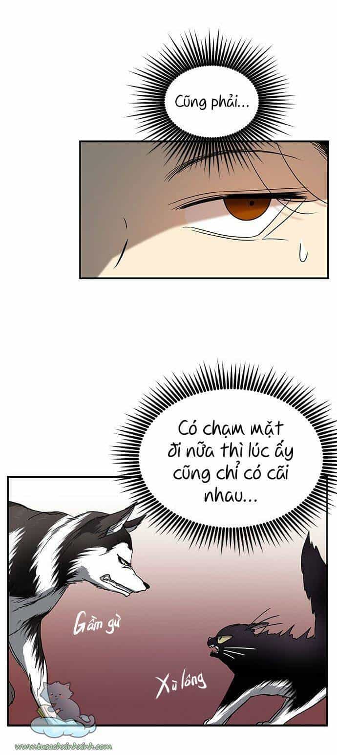 Cạm Bẫy - Chương 74 - ảnh 37