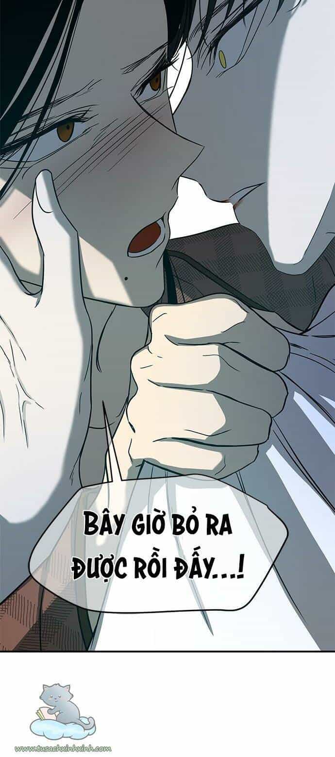 Cạm Bẫy - Chương 77 - ảnh 50