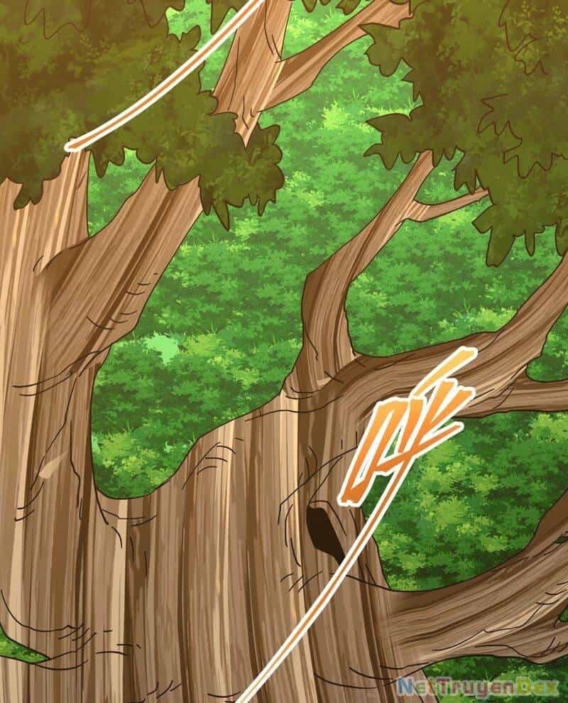 Cao Võ: Hạ Cánh Đến Một Vạn Năm Sau - Chương 184 - ảnh 4
