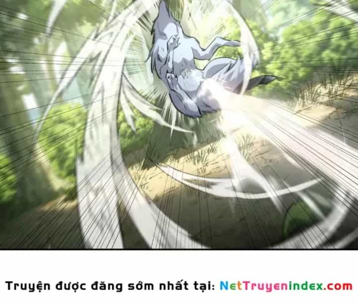 Cao Võ: Một Tay Nghiền Nát Ba Ngàn Đại Đế! - Chương 5 - ảnh 13