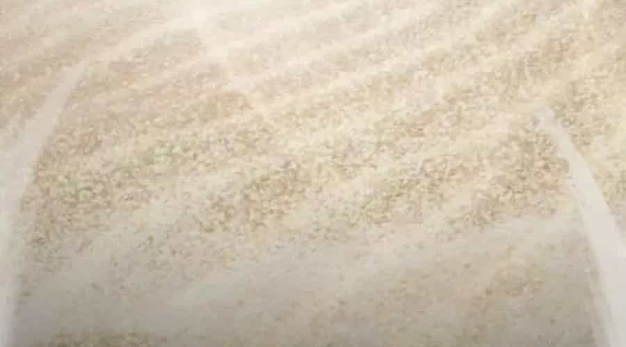 Cậu Bé Của Thần Chết - Chương 301 - ảnh 82