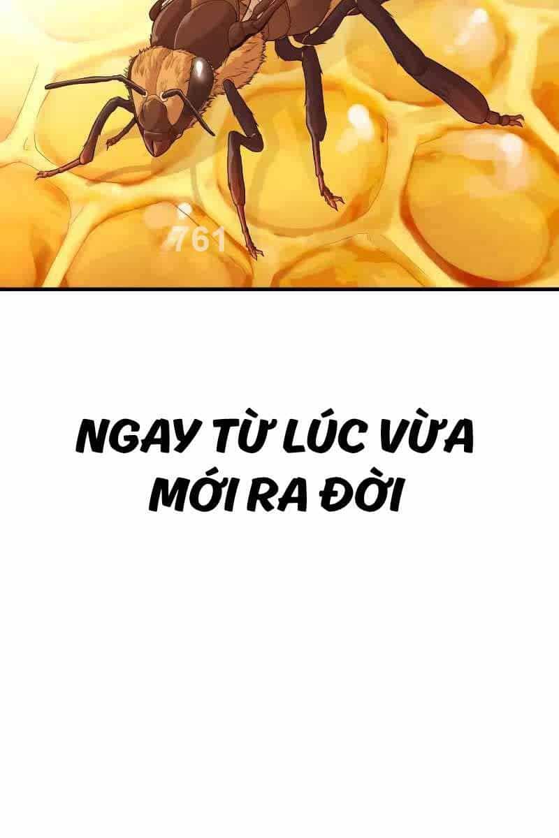 Cậu Bé Tội Phạm - Chương 52 - ảnh 2