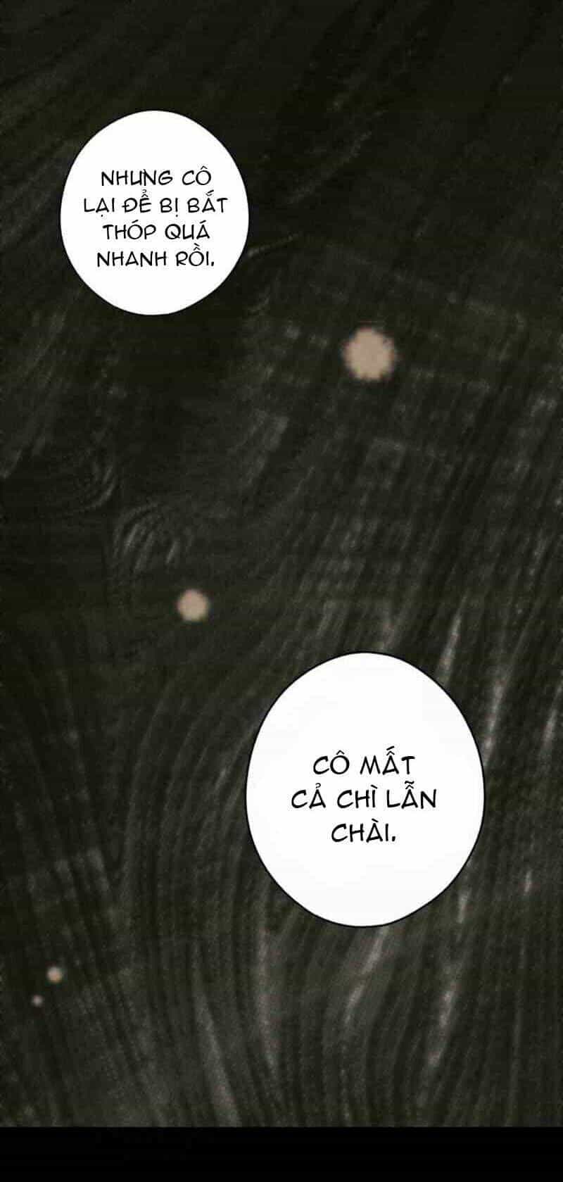 Câu Chuyện Cổ Tích Của Mẹ Kế - Chương 60.2 - ảnh 13