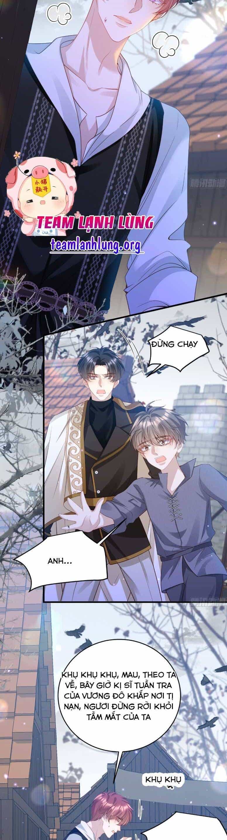 Cầu Hôn Giáo Hoàng - Chương 11 - ảnh 10