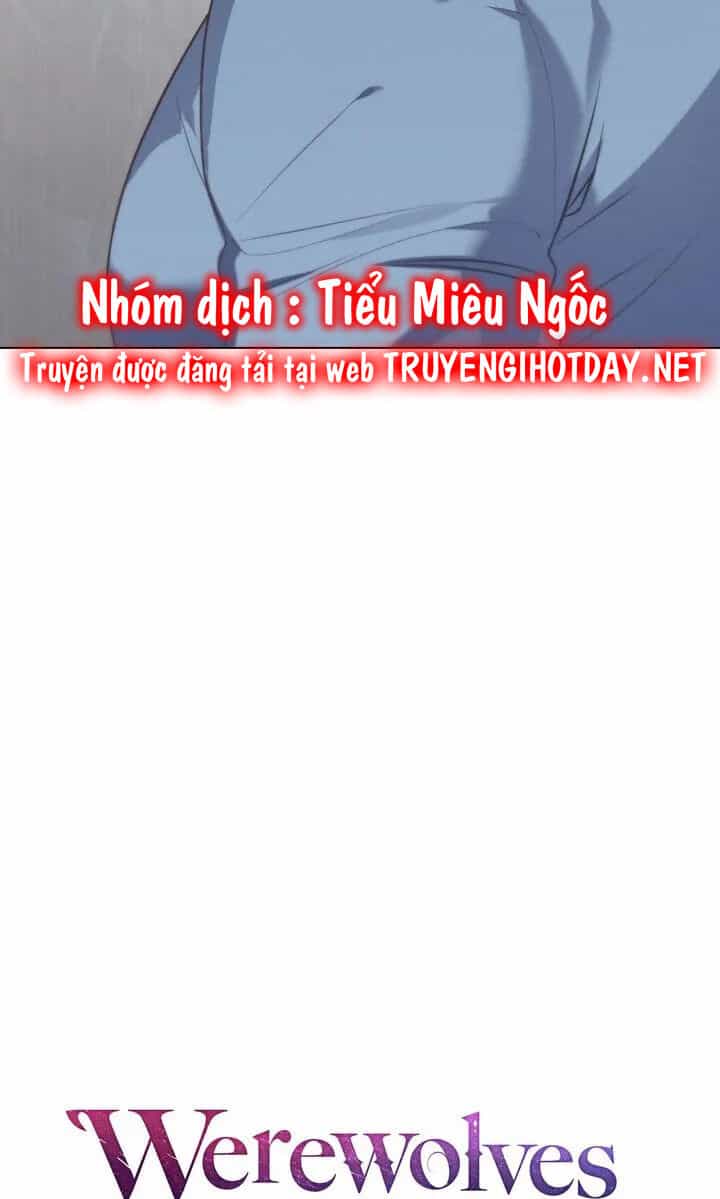 Chàng Người Sói Phát Điên Vì Tôi - Chương 25 - ảnh 23