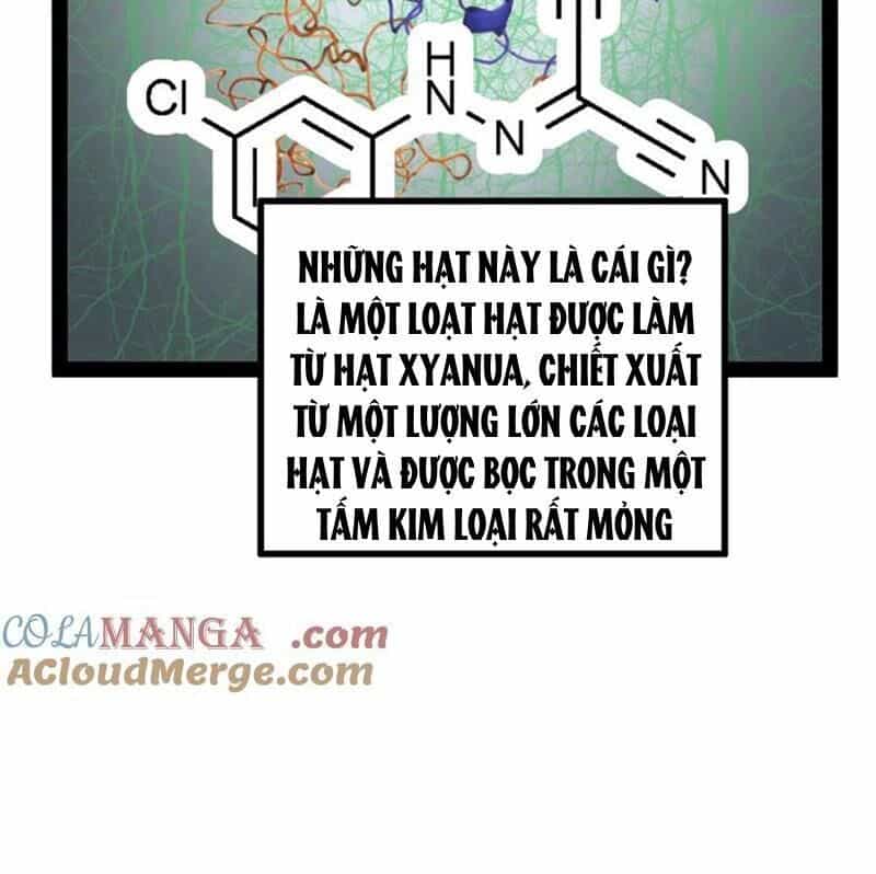 Chàng Rể Mạnh Nhất Lịch Sử - Chương 164 - ảnh 53