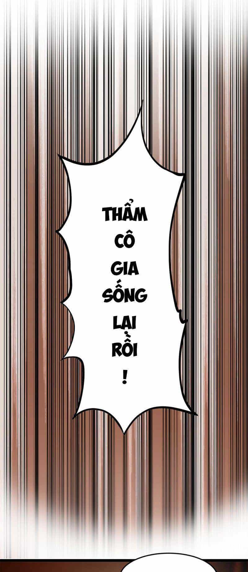 Chàng Rể Mạnh Nhất Lịch Sử - Chương 2 - ảnh 41