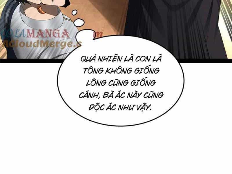 Chàng Rể Mạnh Nhất Lịch Sử - Chương 205 - ảnh 22