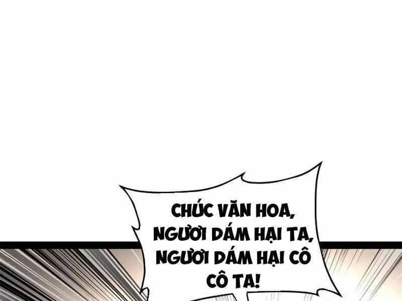 Chàng Rể Mạnh Nhất Lịch Sử - Chương 229 - ảnh 40