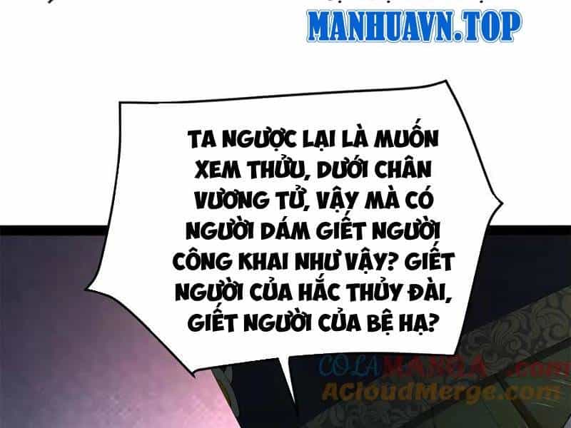 Chàng Rể Mạnh Nhất Lịch Sử - Chương 241 - ảnh 65