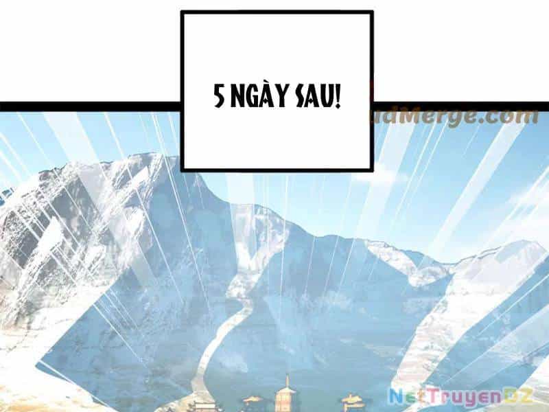 Chàng Rể Mạnh Nhất Lịch Sử - Chương 255 - ảnh 43
