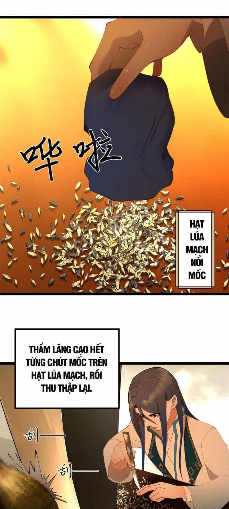 Chàng Rể Mạnh Nhất Lịch Sử - Chương 34 - ảnh 6