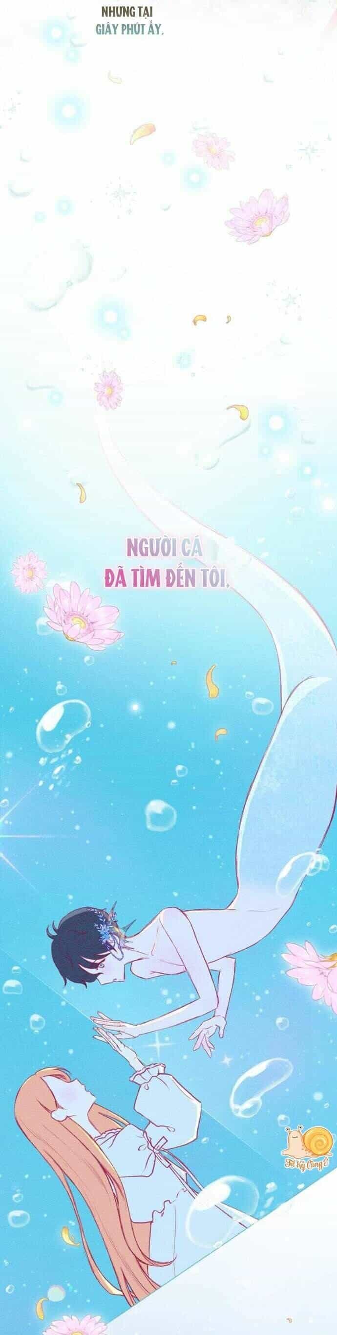 Chàng Tiên Cá Bị Giam Cầm Trong Hồ Nhà Tôi - Chương 2 - ảnh 5