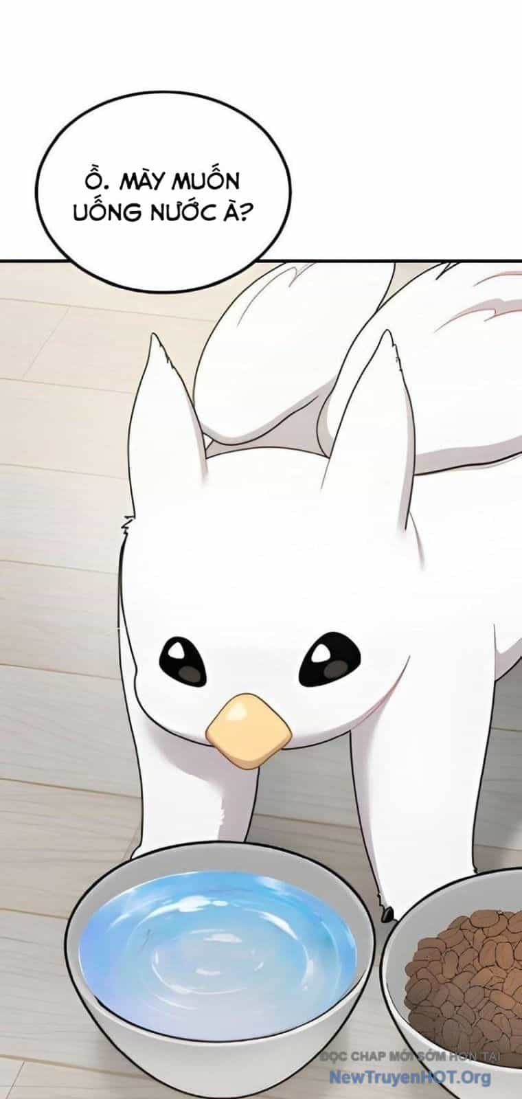 Chào Nhé, Chú Vẹt Mắt Tròn Griffin! - Chương 2 - ảnh 46