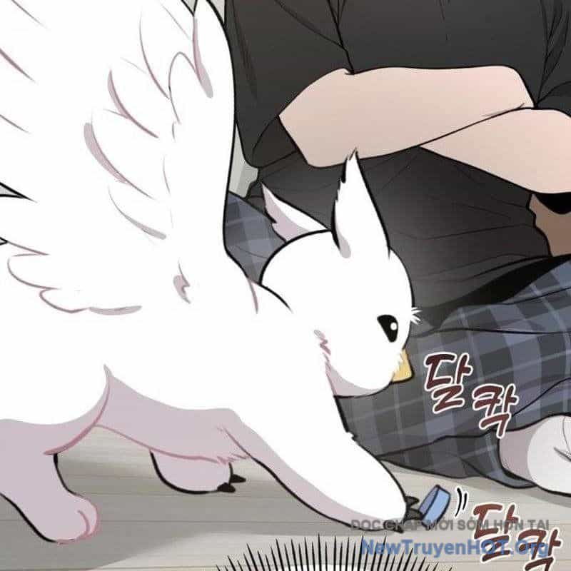 Chào Nhé, Griffin Mắt Tròn! - Chương 1 - ảnh 128