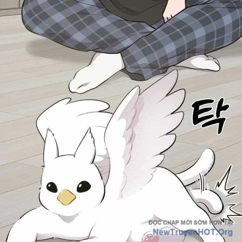 Chào Nhé, Griffin Mắt Tròn! - Chương 1 - ảnh 144