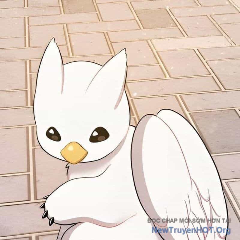 Chào Nhé, Griffin Mắt Tròn! - Chương 2 - ảnh 69