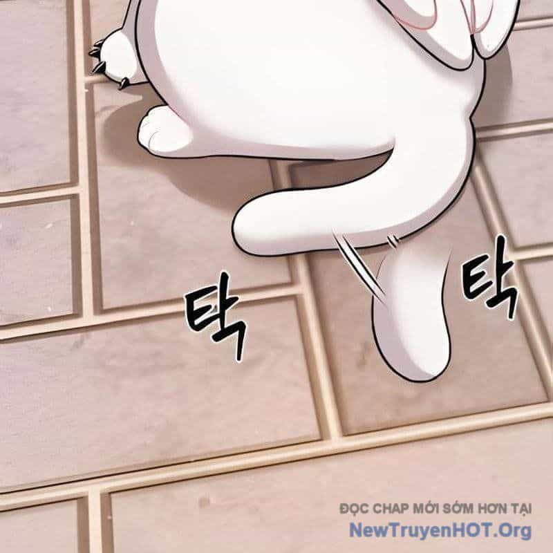 Chào Nhé, Griffin Mắt Tròn! - Chương 2 - ảnh 70